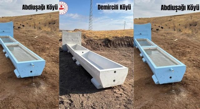 Ağaçören’de hayvancılığa can suyu