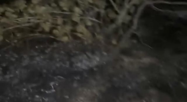 Rüzgâr ateşi büyüttü! Taşpınar’da bağ yangını
