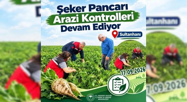 Şeker pancarında arazi kontrolü