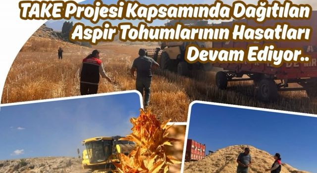 TAKE Projesi meyvesini verdi, hasat başladı