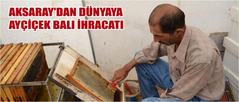"Ayçiçeği Balı"Nda Kalite, Eğitimlerle Arttı