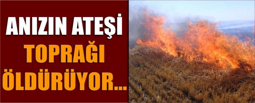 Anızın Ateşi Toprağı Öldürüyor… 