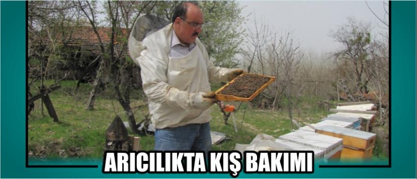 Arıcılıkta Kış Bakımı