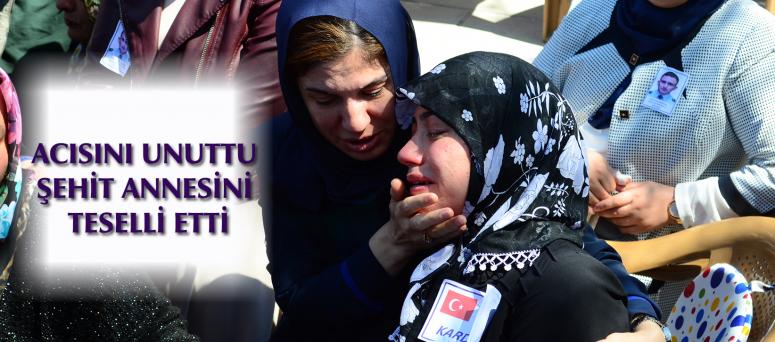 Acısını Unuttu Şehit Annesini Teselli Etti