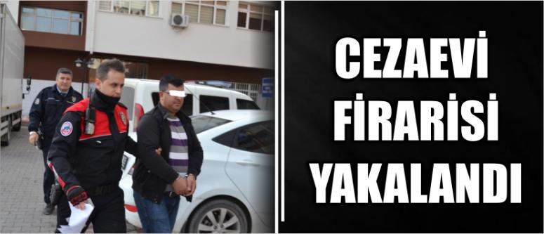 Cezaevi Firarisi Yakalandı
