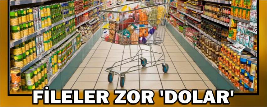 Fileler Zor ‘Dolar’