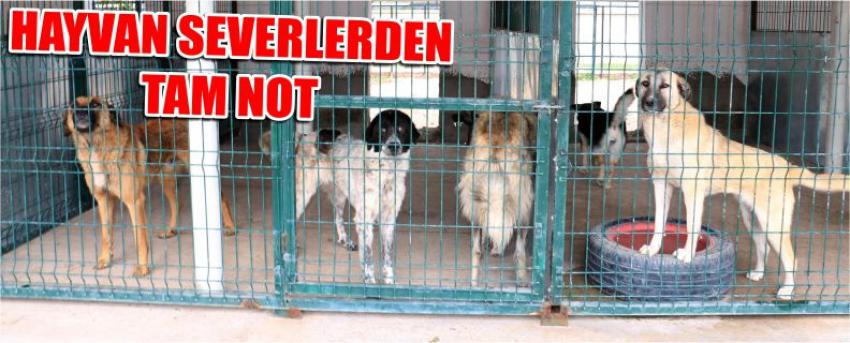 Hayvan Severlerden Tam Not