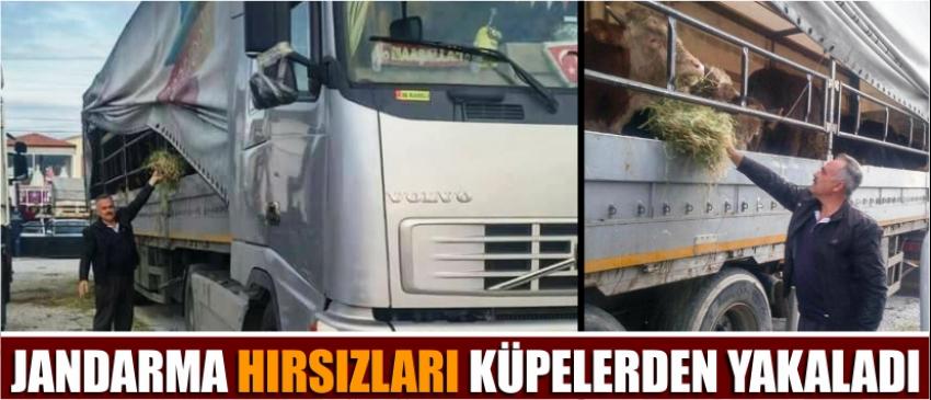 Jandarma Hırsızları Küpelerden Yakaladı beylikdüzü lar