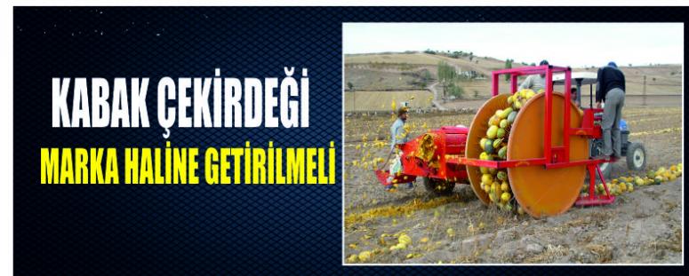 Kabak Çekirdeği Marka Haline Getirilmeli