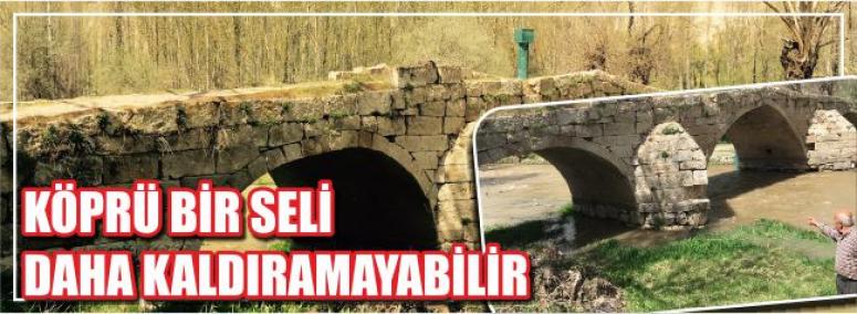 Osmanlının Tarihi Köprüsü Bakımsızlıktan Yıkılıyor