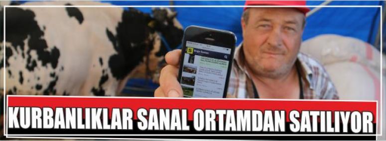 Kurbanlıklar Sanal Ortamdan Satılıyor