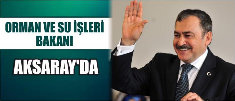 Orman Ve Su İşleri Bakanı Aksaray’da