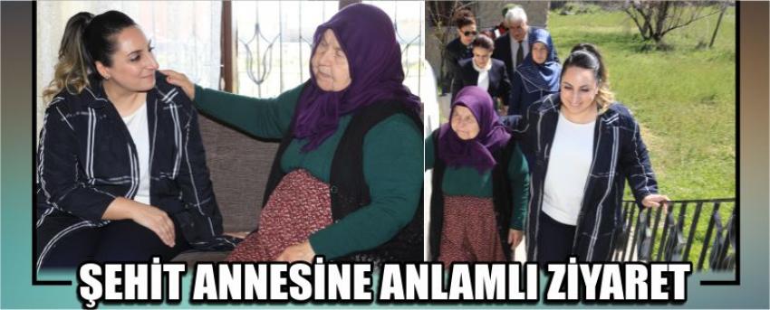 Şehit Annesine Anlamlı Ziyaret