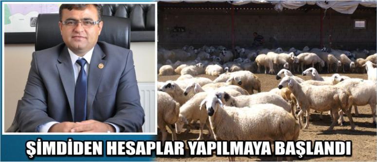 Kurbanlık Cep Yakacak