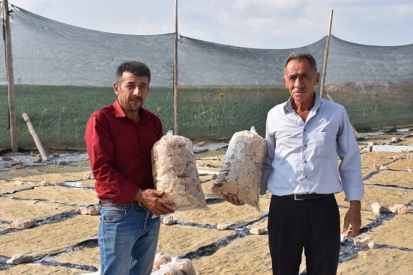 “Tadını Güneşten Alıyor”