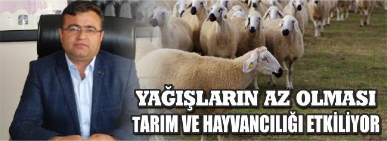 Yağışların Az Olması Tarım Ve Hayvancılığı Etkiliyor