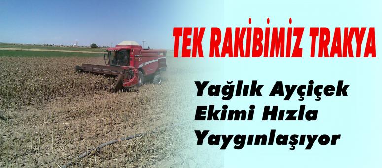 Tek Rakibimiz Trakya
