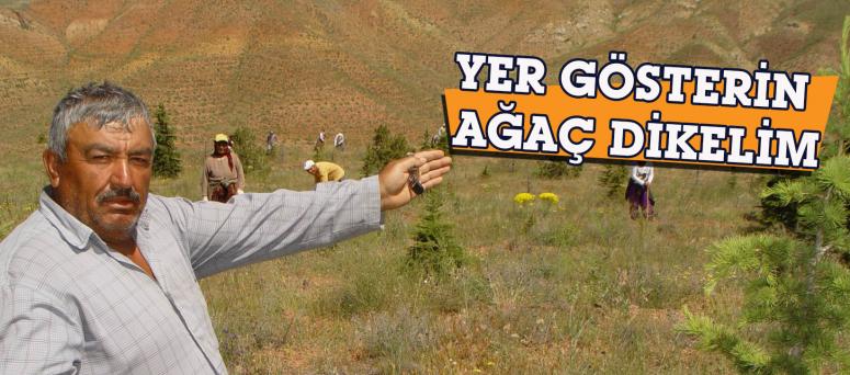 YER GÖSTERİN AĞAÇ DİKELİM