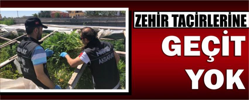 Zehir Tacirlerine Geçit Yok