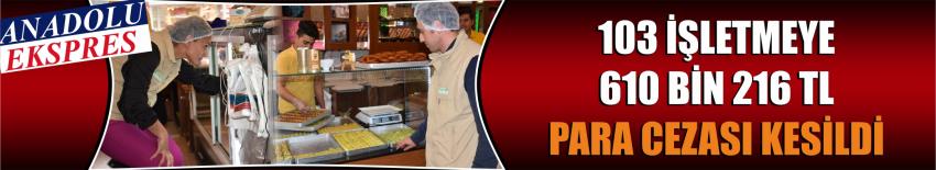 103 İşletmeye 610 Bin 216 Tl Para Cezası Kesildi