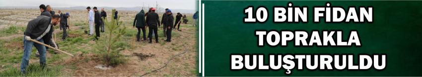 10 Bin Fidan Toprakla Buluşturuldu