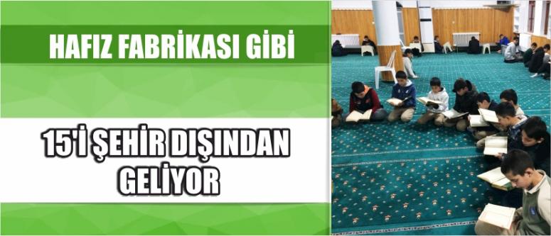 Hafız Fabrikası Gibi