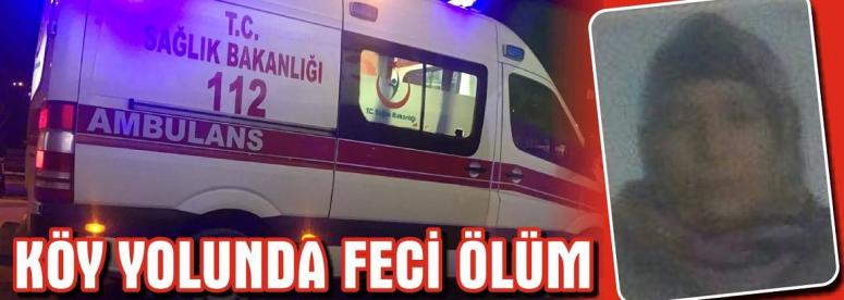 Köy Yolunda Feci Ölüm