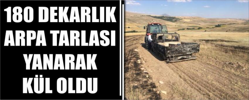 180 Dekarlık Arpa Tarlası Yanarak Kül Oldu