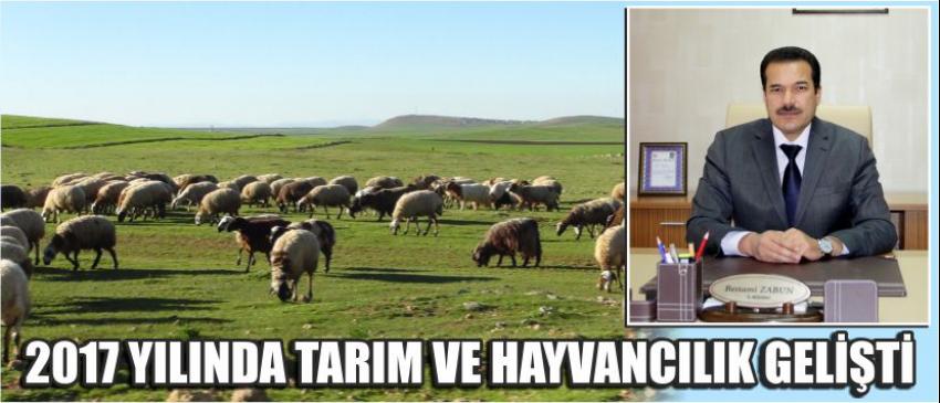 2017 Yılında Tarım Ve Hayvancılık Gelişti
