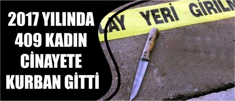 2017 Yılında 409 Kadın Cinayete Kurban Gitti