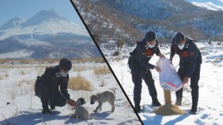 Aksaray’ın Dağlarında Canlar Öksüz Değil