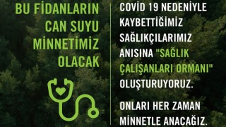 Tema Vakfı’ndan Anlamlı Girişim: ‘Sağlık Çalışanları Ormanı’