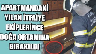 Apartmandaki yılan itfaiye ekiplerince doğa ortamına bırakıldı