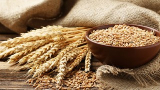 Buğday Fiyatında Rekor Artış