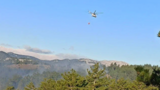 Adana'da Orman Yangını Müdahaleler Sürüyor