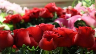 İsimsiz Çiçeğe 'Taciz' Davası