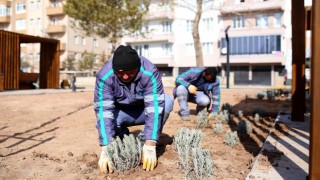 Aksaray Belediyesi Üretiyor