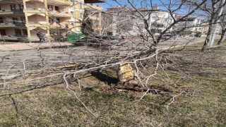 Karşı Şeride Geçen Araç Konteynıra Çarparak Durdu