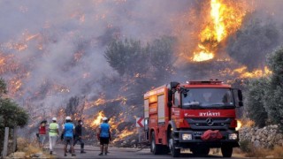 Beykoz'daki Orman Yangını