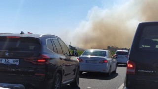 İzmir Bergama'da Orman Yangını! Yoğun Dumanlar Yükseliyor