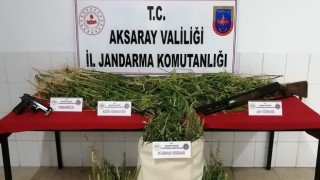 Jandarmanın Uyuşturucu Operasyonunda Ak Partili Meclis Üyesi Gözaltına Alındı