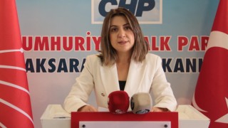 “Sansür, İnsan Haklarına Ağır Saldırıdır”