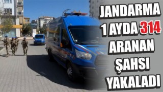 Aksaray'da Jandarma 1 Ayda 314 Aranan Şahsı Yakaladı