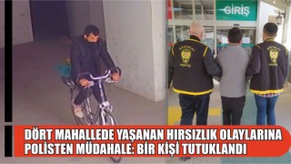 Dört Mahallede Yaşanan Hırsızlık Olaylarına Polisten Müdahale: Bir Kişi Tutuklandı