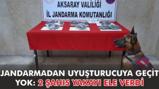 Jandarmadan Uyuşturucuya Geçit Yok: 2 Şahıs Yakayı Ele Verdi