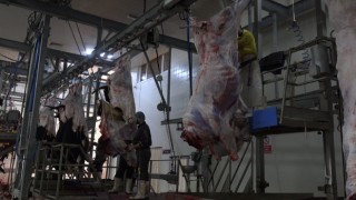 Kırmızı Et Üretimi Yüzde 12,3 Arttı