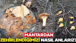 Mantardan Zehirlendiğimizi Nasıl Anlarız?