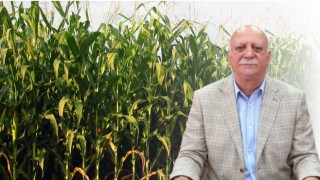 TZOB Genel Başkanı Bayraktar: Çiftçilerimiz Hasatla Birlikte Ürününü Satmak Zorunda