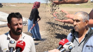 Yeşiltepe AK Parti Belediye Meclis Üyesi “Çekirdek Para Etmiyor Biz Ne Yapalım Hırsızlık Mı Yapalım?”