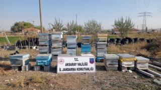 Arı Kovanlarını Çaldı JASAT Nevşehir'de Yakaladı